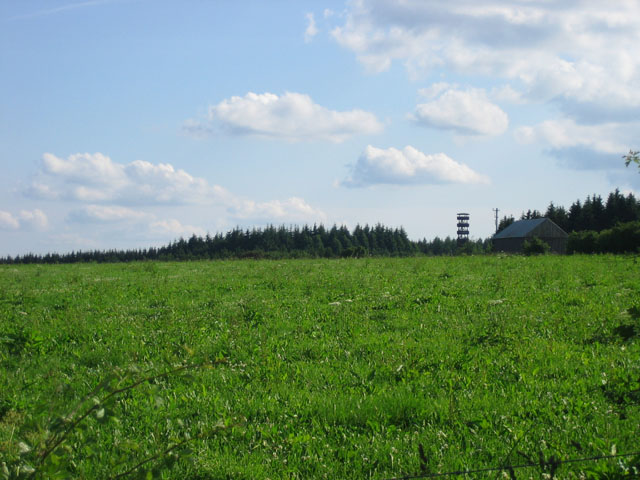 Aussichtsturm am Weien Stein, Blickrichtung 
      SSW.